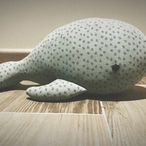 Troostknuffelwalvis